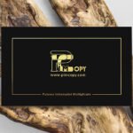 Carti de vizita folio