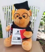 Mascota, Ursulet Absolvire "Clasic" - imagine 3