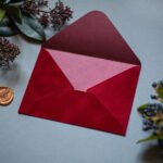 plicuri catifea rosie