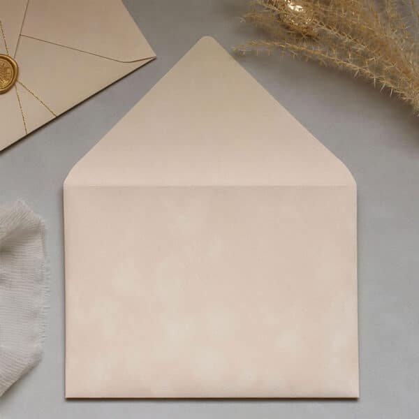 plicuri invitatii